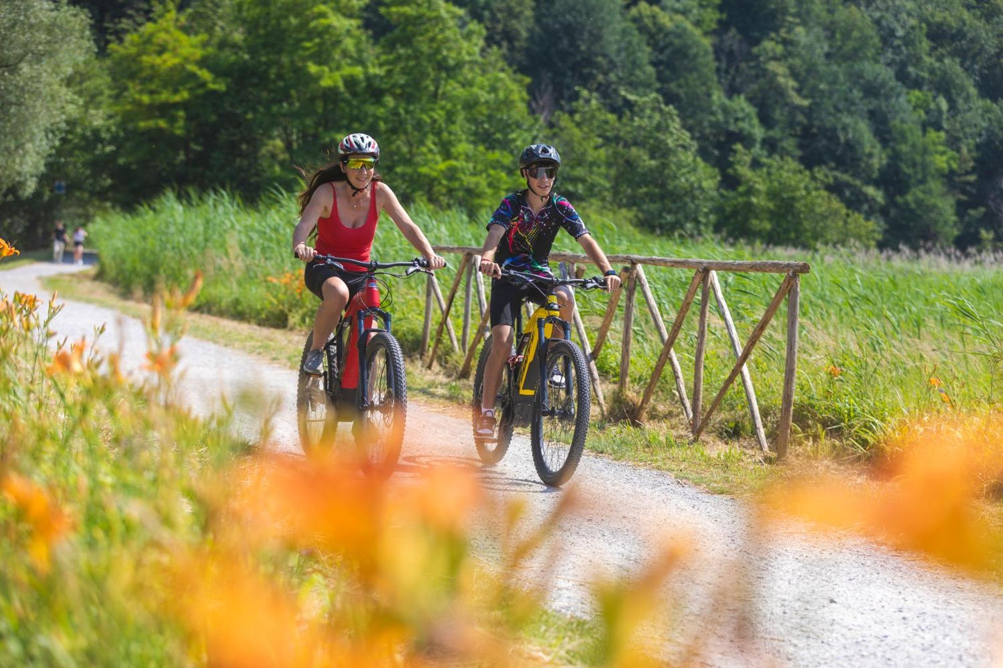 Villa Iris -Pet Friendly Stay - Garden - Private Parking- Bike Friendly Holiday House Colico Eksteriør billede